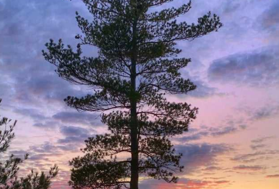 重慶智能家居加盟：相比傳統(tǒng)家居，智能家居的優(yōu)勢是什么？