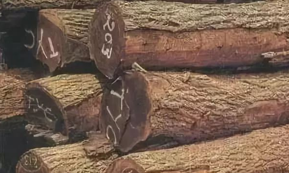 人造環(huán)保板材：實(shí)木家具的主流材種有哪些？