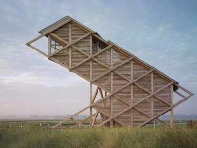 輕型木結構設計：最具潛力的木結構板材：正交膠合板