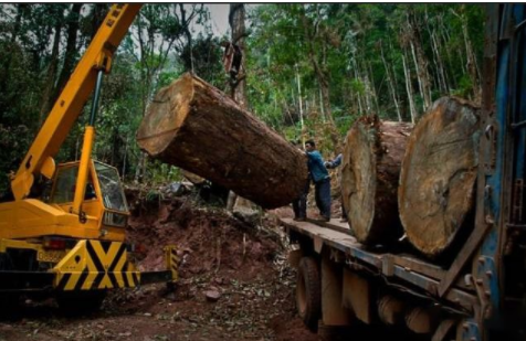 【新中式家具定制】中式家具選購、陳設(shè)、保養(yǎng)全攻略！