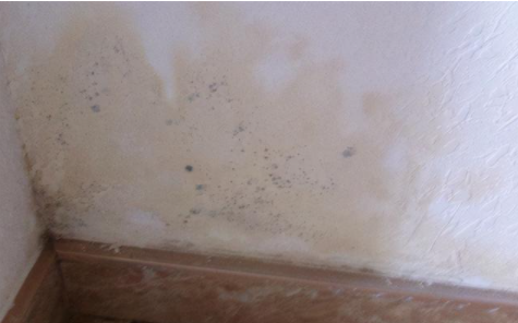 【翻新墻面除霉】墻面返潮是什么原因？墻面返潮怎么處理